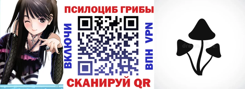 Псилоцибиновые грибы прущие грибы  Магадан 